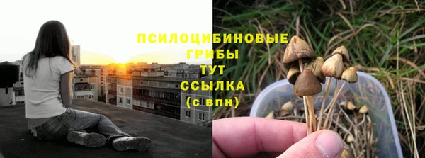 герыч Вяземский