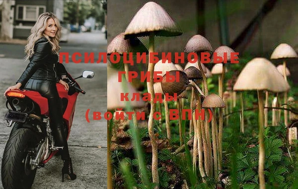 герыч Вяземский